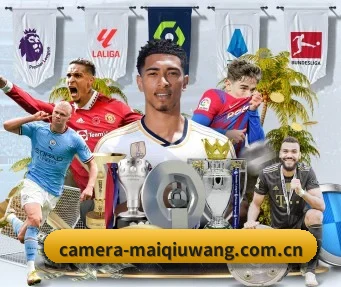 买球网 APP（maiqiuwang）
